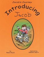 Jacob's Journey