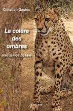 La colère des ombres