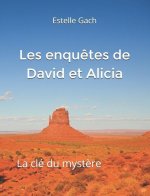 Les enquetes de David et Alicia