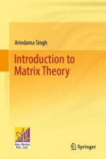 Introduction to Matrix Theory