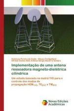Implementacao de uma antena ressoadora magneto-dieletrica cilindrica