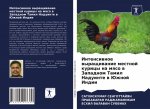 Intensiwnoe wyraschiwanie mestnoj kuricy na mqso w Zapadnom Tamil Naduinte w Juzhnoj Indii