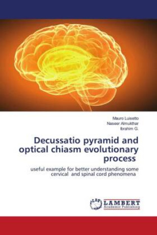 Decussatio pyramid and optical chiasm evolutionary process