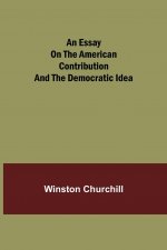 essay on the American contribution and the democratic idea