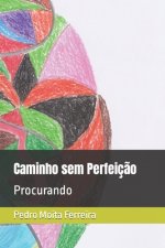 Caminho sem Perfeicao
