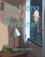 !Un Mono en mi Ventana!