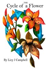 Cycle of a Flower
