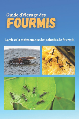 Guide d'elevage des fourmis