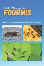 Guide d'elevage des fourmis