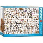 Puzzle 2000 The World of Dogs 8220-0581