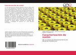 Caracterización de suelos
