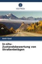 In-situ-Zustandsbewertung von Strassenbelagen