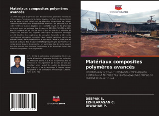 Materiaux composites polymeres avances