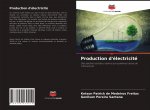 Production d'electricite