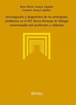 INVESTIGACION Y DIAGNOSTICO DE LOS PRINCIPALES PROBLEMAS EN