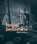 Fouad bellamine:entree en matiere retrospective