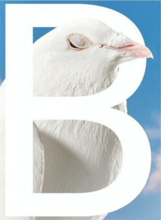 B-SIDES