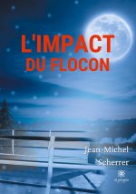 L'impact du flocon