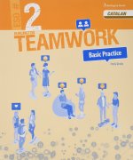 TEAMWORK 2ESO BASIC PRAC CAT