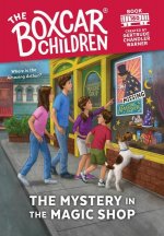 The Mystery in the Magic Shop: 160