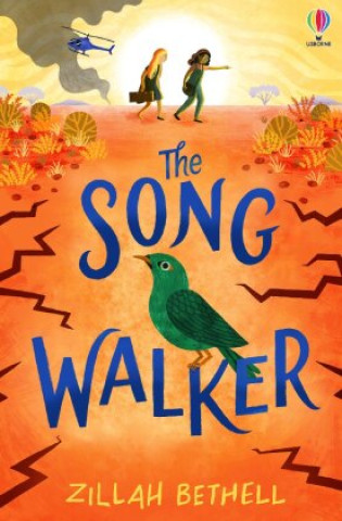 Song Walker (ZILLAH BETHELL)(Brožovaná)