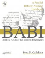 Biblical Aramaic for Biblical Interpreters