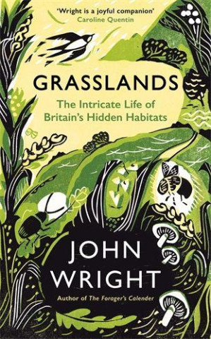 GRASSLANDS