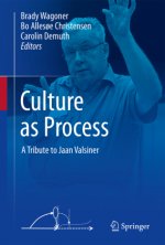 Culture as Process