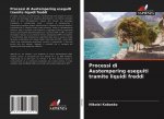 Processi di Austempering eseguiti tramite liquidi freddi