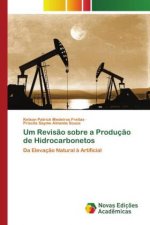 Um Revisao sobre a Producao de Hidrocarbonetos