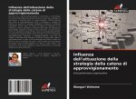 Influenza dell'attuazione della strategia della catena di approvvigionamento
