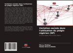 Variation sociale dans l'utilisation du pidgin nigerian (NP)