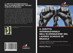 Diritto Internazionale Nell'eliminazione del Lavoro Schiavo in Brasile