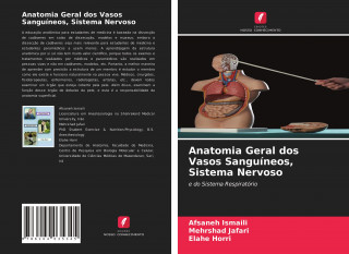 Anatomia Geral dos Vasos Sanguineos, Sistema Nervoso