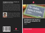 Amalgama de factos e ficcao nas pegadas de Socrates
