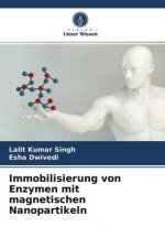 Immobilisierung von Enzymen mit magnetischen Nanopartikeln