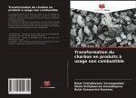 Transformation du charbon en produits a usage non combustible