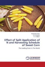 Effect of Split Application of N and Harvesting Schedule of Sweet Corn