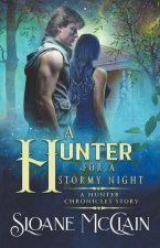Hunter For A Stormy Night