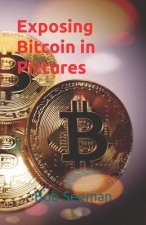 Exposing Bitcoin in Pictures