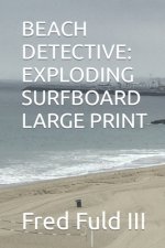 Beach Detective