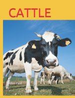 Cattle