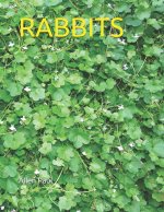 Rabbits
