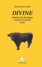 DIVINE. Camino de Santiago. Camino Frances. Ano 2020