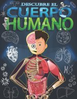 Descubre el cuerpo humano