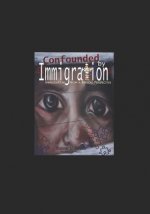 Confounded by Immigration