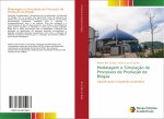 Modelagem e Simulaç?o de Processos de Produç?o de Biogás