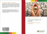 Avaliaç?o Energética em Irrigaç?o