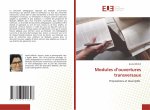 Modules d'ouvertures transversaux