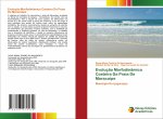 Evolucao Morfodinamica Costeira Da Praia De Maracaipe